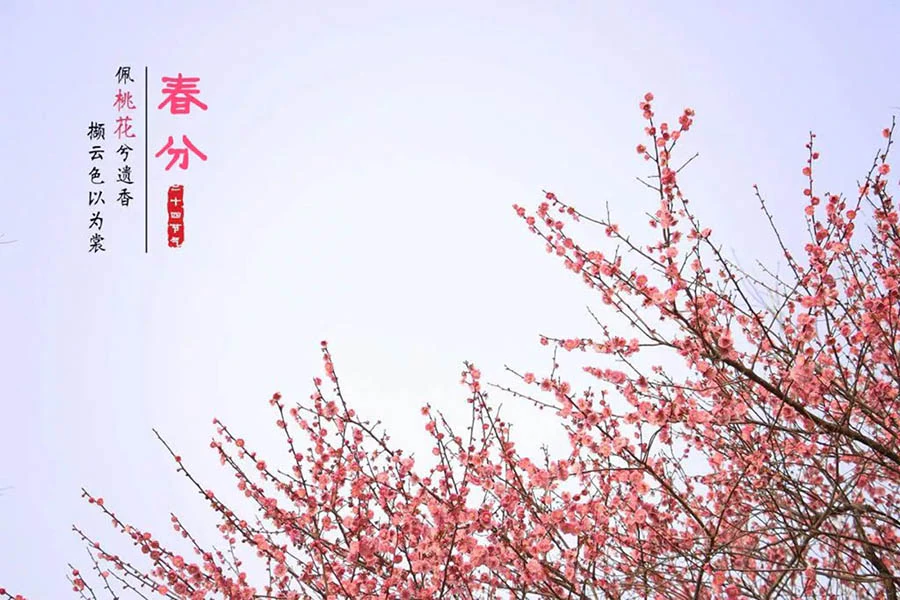 春分 | 百万红包全”分”你，亚太天能愿你今春好心情!